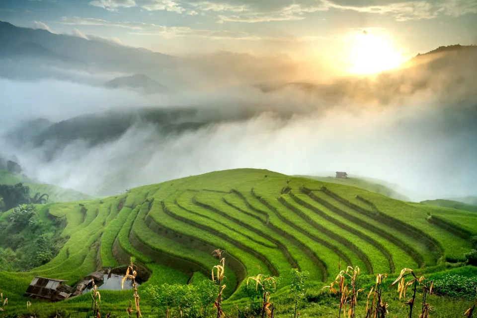 Kho gạo xếp bao