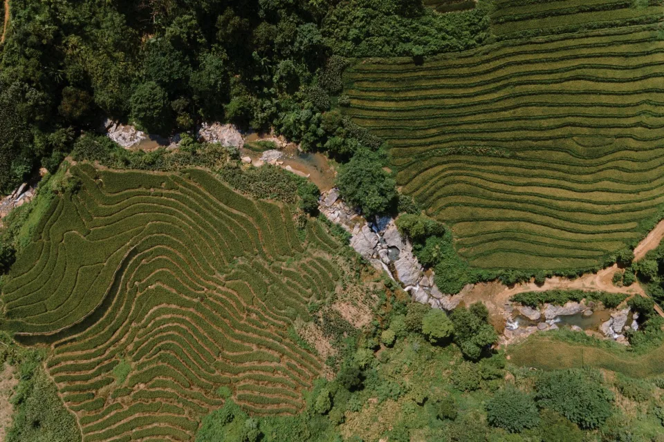 Kho gạo của Kiều Thị Em